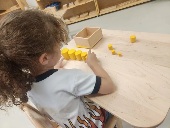Montessori Children's Academy of Prescott photo 10