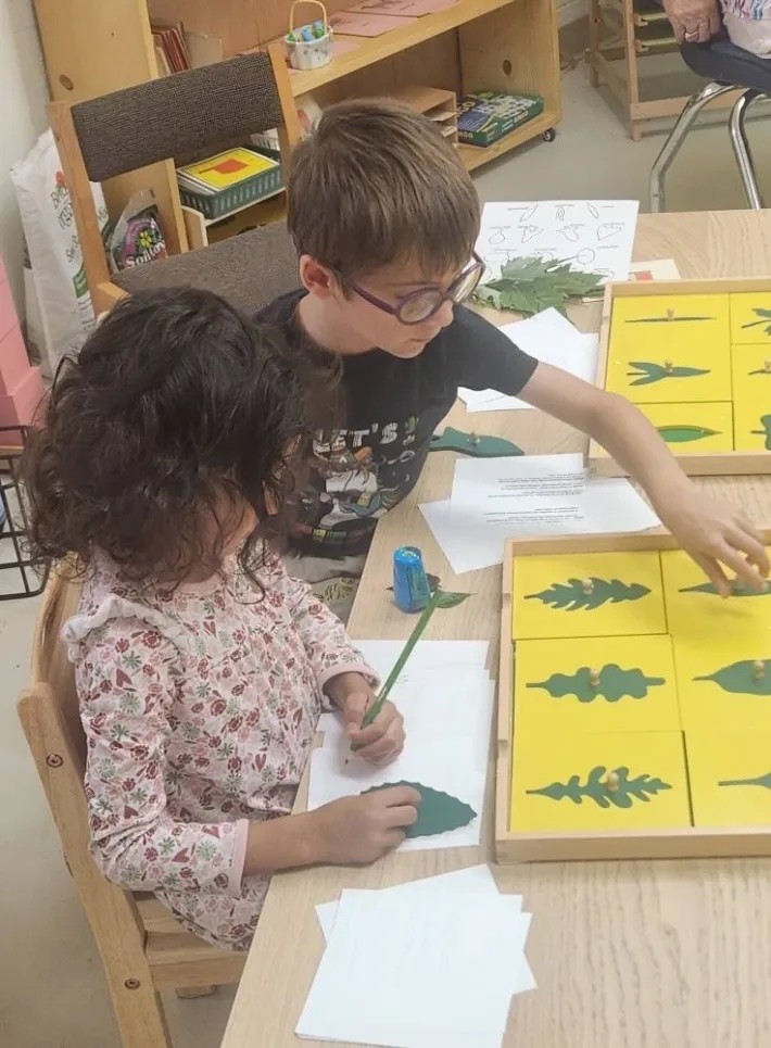 Montessori Children's Academy of Prescott photo 9