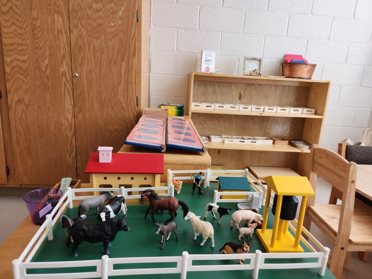 Montessori Children's Academy of Prescott photo 28