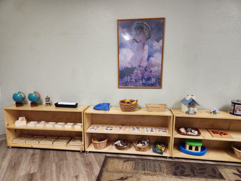 Montessori Children's Academy of Prescott photo 23