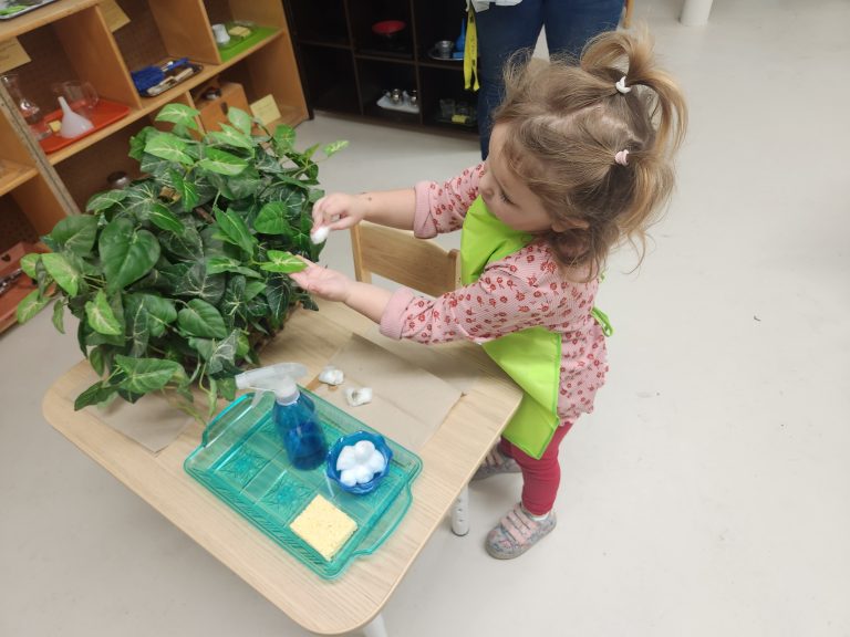 Montessori Children's Academy of Prescott photo 13