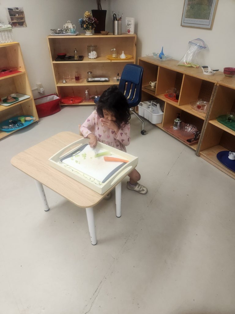 Montessori Children's Academy of Prescott photo 12